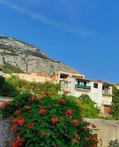 Centar