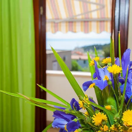 Apartment Centar *