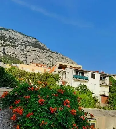 Centar